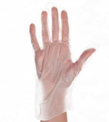 Food Grade Transparent Disposable TPE Gloves For Cafes Patisseries