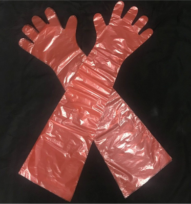 Water Tight Disposable Plastic Gloves , LDPE Long Veterinary Gloves